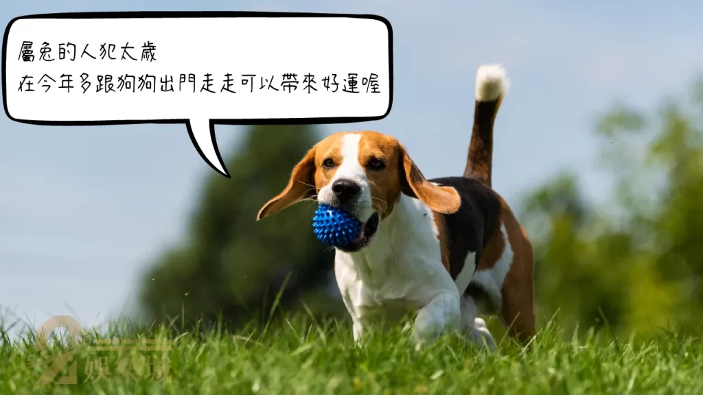過年禁忌