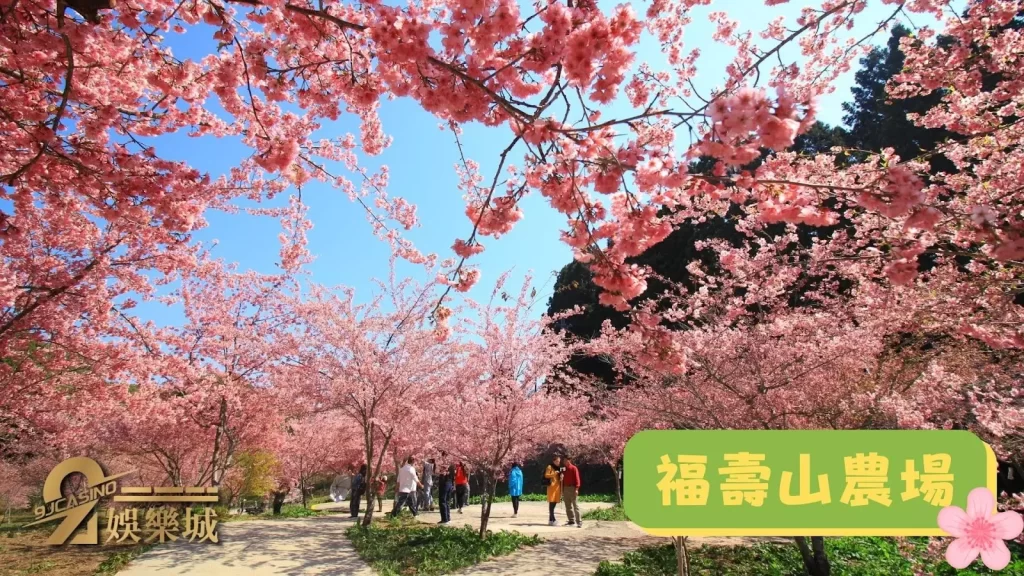 春節旅遊